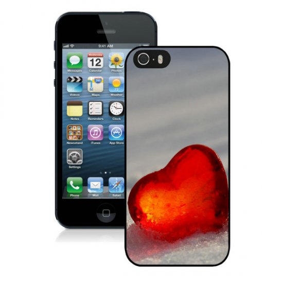Valentine Snow Love iPhone 5 5S Cases CIA